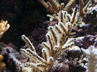 2010-01-02