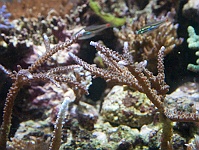 2010-03-06
