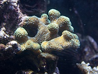 2010-05-31