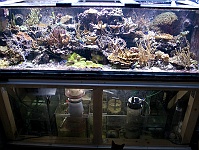 2010-08-08