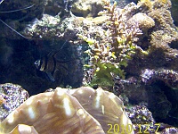 2010-12-07