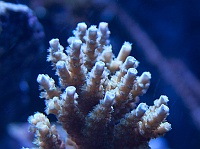 2011-10-02