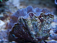 2012-02-08