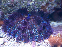 2012-10-07