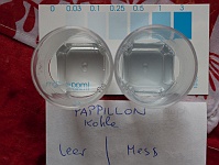 Papillon Kohle